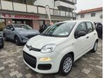 FIAT Panda 1.0 70CV FireFly S&S Hybrid rif. 23377931