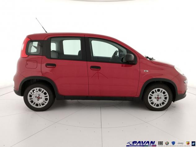 FIAT Pandina Panda 1.0 FireFly 65 CV Hybrid Icon - Foto 5