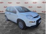 FIAT Panda Panda 1.0 firefly hybrid 70cv 5 POSTI, SENSORI!