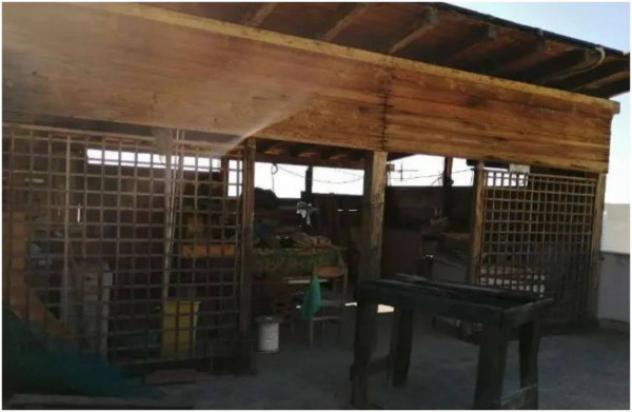 Immobile in asta di 88 m² in vendita a Scaletta Zanclea - Foto 11