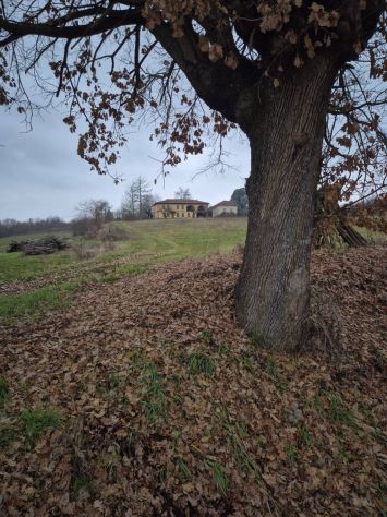 Ampi SPAZI e un po' di TERRA...