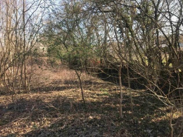 Immobile in asta di 18050 m² in vendita a Poggibonsi - Foto 6
