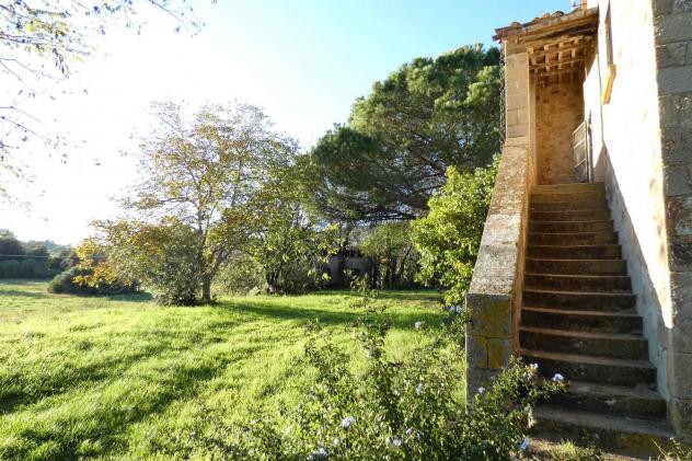 Rustico casale in Vendita in zona MONTEMASSI con giardino - Foto 2