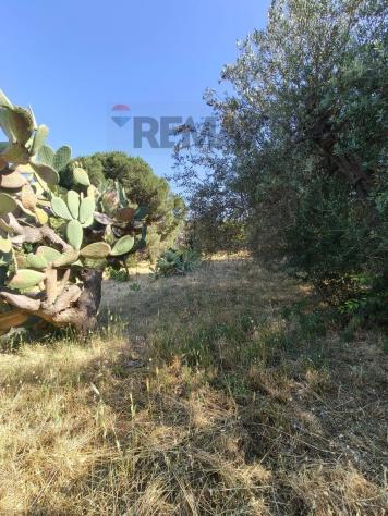 Terreno Edificabile in vendita a Trecastagni - Foto 14