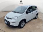 FIAT Panda PREZZO REALE NO VINCOLI / 1.0 70cv Hybrid