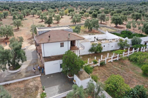 fasano masseria con uliveto