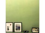 Bellini Suite
