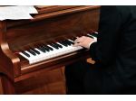 Organista a Darfo Boario Terme