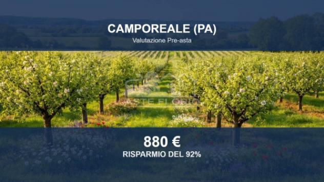 Immobile in asta di 3200 m² in vendita a Camporeale