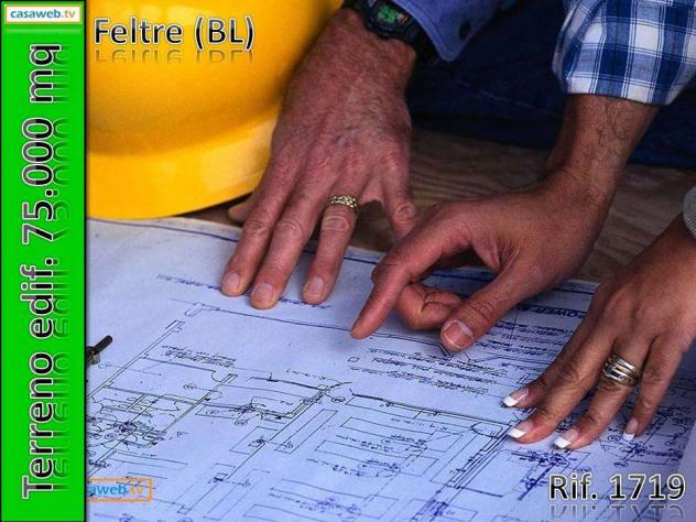 1719 - Terreno Edif. 75.000 mq a Feltre (BL) Rif. 1719 - Foto 10