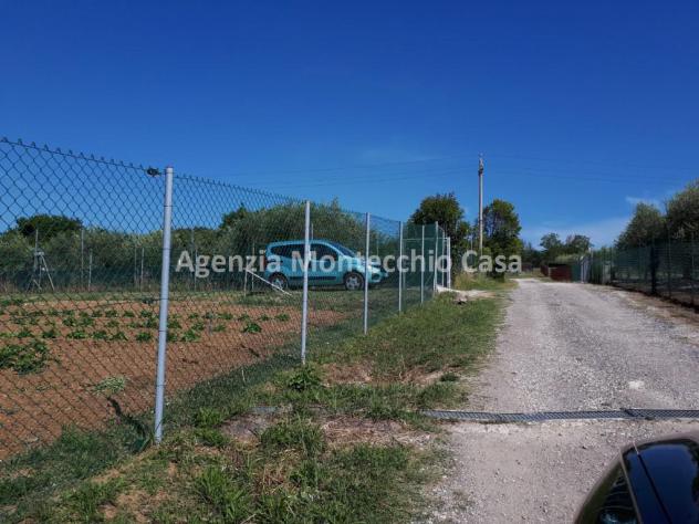 ORTO RECINTATO A POCA DISTANZA DA PESARO