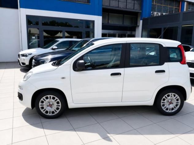 FIAT Panda Hybrid 1.0 S&S 69 Cv Neo Patentati rif. 23989898 - Foto 5