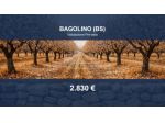 Immobile in asta di 110 m² in vendita a Bagolino