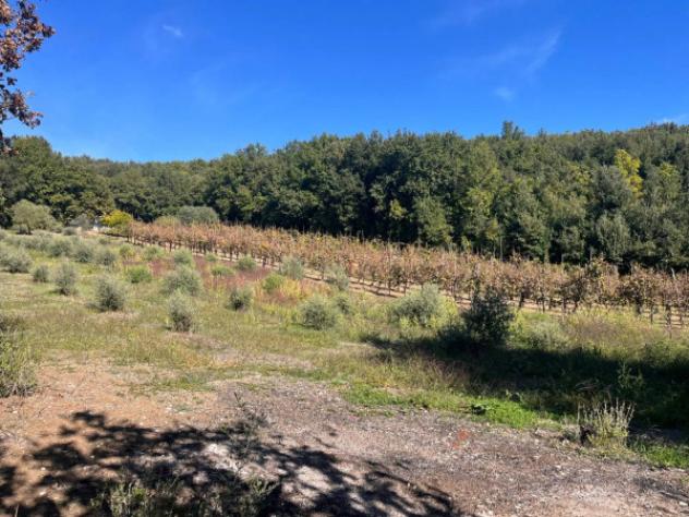 Immobile in asta di 684931 m² in vendita a Francolise - Foto 7