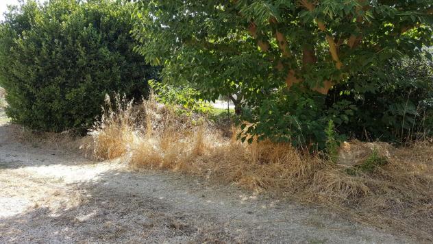 Rustico in vendita a Piombino 70 mq Rif: 1428596 - Foto 3