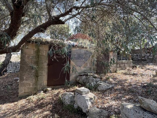 Cascina/Casale in vendita a Ragusa, San Giacomo - Foto 4