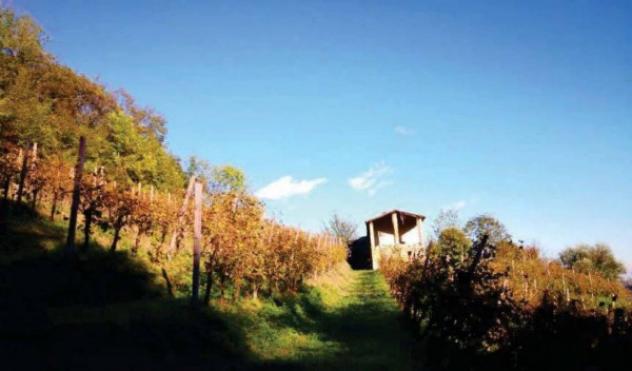 Immobile in asta di 83636 m² in vendita a Refrontolo - Foto 2
