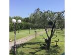 TORRE DEL LAGO zona mare - terreno con box C2