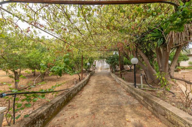 Casa Indipendente in vendita a Caltagirone - Foto 7