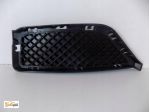 BMW X1 E84 Griglia paraurti sinistra - 3884