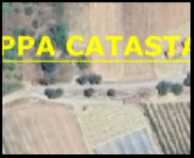 Immobile in asta di 51760 m² in vendita a Altomonte - Foto 14