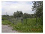 IMMOBILI-ALTRA CATEGORIA-Contrada Marcellino, 84021 Buccino SA, Italia