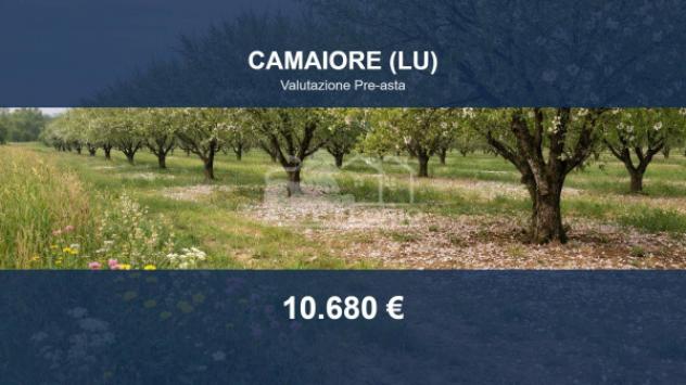 Immobile in asta di 2196 m² in vendita a Camaiore
