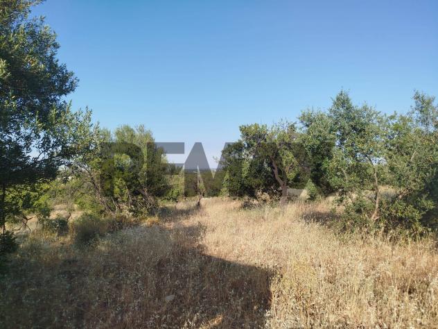Terreno in vendita a Canicattini Bagni - Foto 3