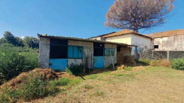 Immobile in asta di 277110 m² in vendita a Gioia Tauro - Foto 9
