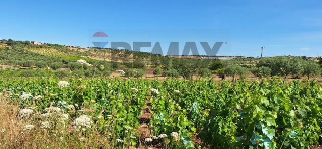 Terreno in vendita a Noto - Foto 2
