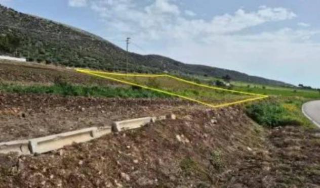 Immobile in asta di 31670 m² in vendita a Rignano Garganico - Foto 3