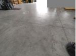 Capannone artigianale in affitto a Cascina 560 mq  Rif: 1399957