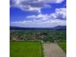 Villa Finzi B&B