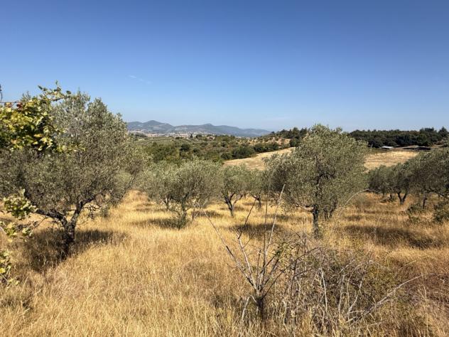 Agricolo in Vocabolo Cibottola - Foto 3