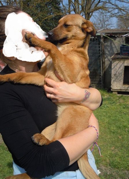 DEA, simpaticissima cucciola - Foto 3