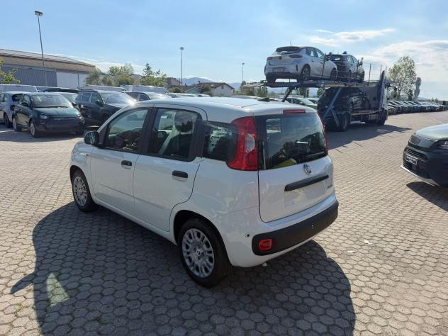 FIAT Pandina 1.0 FireFly 65cv S&S 6m Hybrid Icon - Foto 5