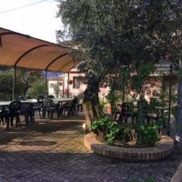Ferrara Maria - Foto 3