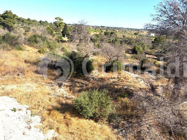 Rustico in vendita a Sannicola - Foto 7