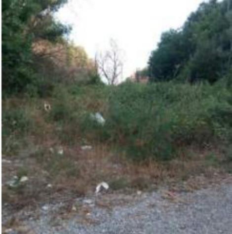 Immobile in asta di 21130 m² in vendita a Torano Castello - Foto 4