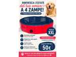 Piscina terrazzo per cani XXL