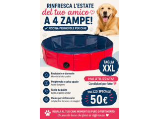 Piscina terrazzo per cani XXL