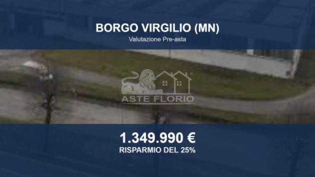 Immobile in asta di 8269 m² in vendita a Borgo Virgilio