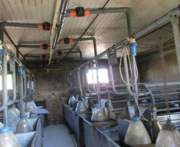 Immobile in asta di 7899 m² in vendita a Pieve del Cairo - Foto 4
