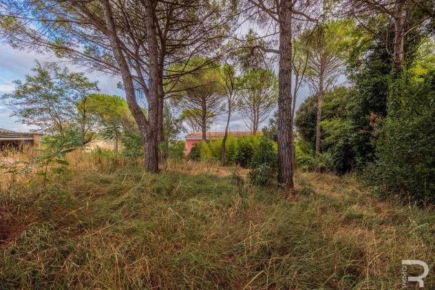 Casa singola in vendita a Fauglia 239 mq Rif: 1417904 - Foto 8