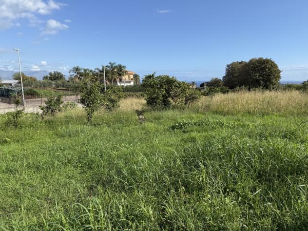 Agricolo in vendita a Giarre - Foto 11