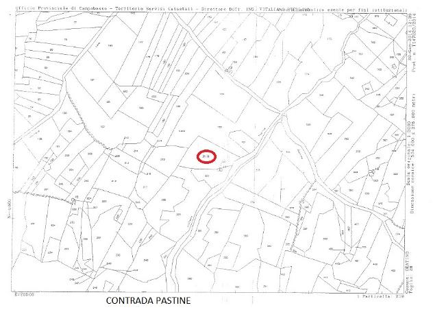 Privato terreno coltivabile mq 17000 Euro 20.000 - Foto 4