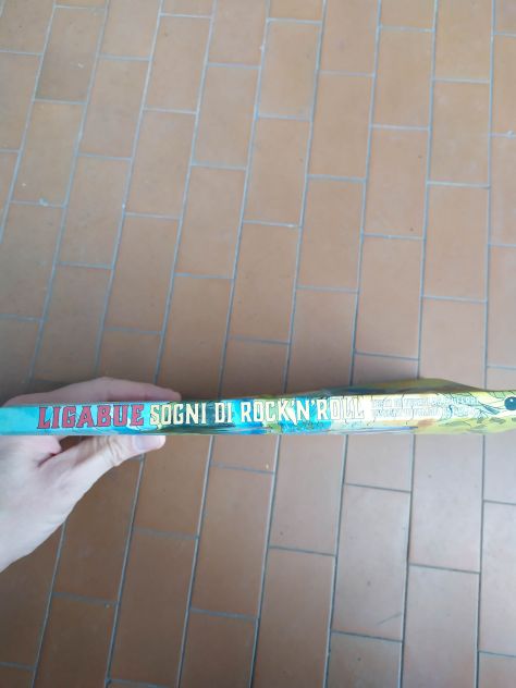 LIBRO A FUMETTO LIGABUE SOGNI DI ROCK'N ROLL - Foto 3