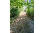 Terreno in strada Provinciale Verentana, km 7 a Marta (VT)