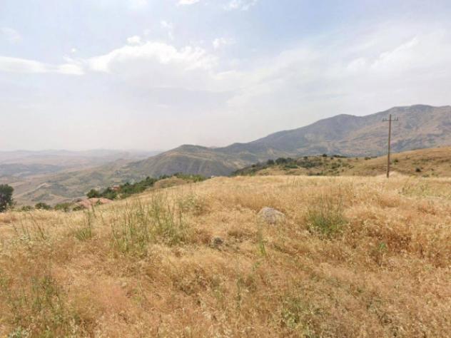 Immobile in asta di 5403 m² in vendita a Petralia Soprana - Foto 16