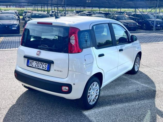FIAT Panda 1.0 FireFly S&S Hybrid Icon - Foto 3